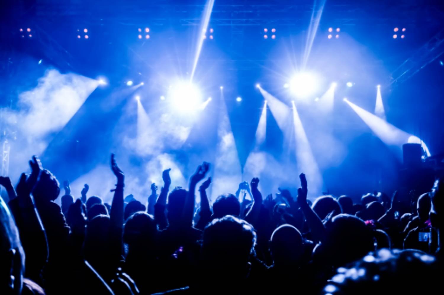 Concerts & Festivals